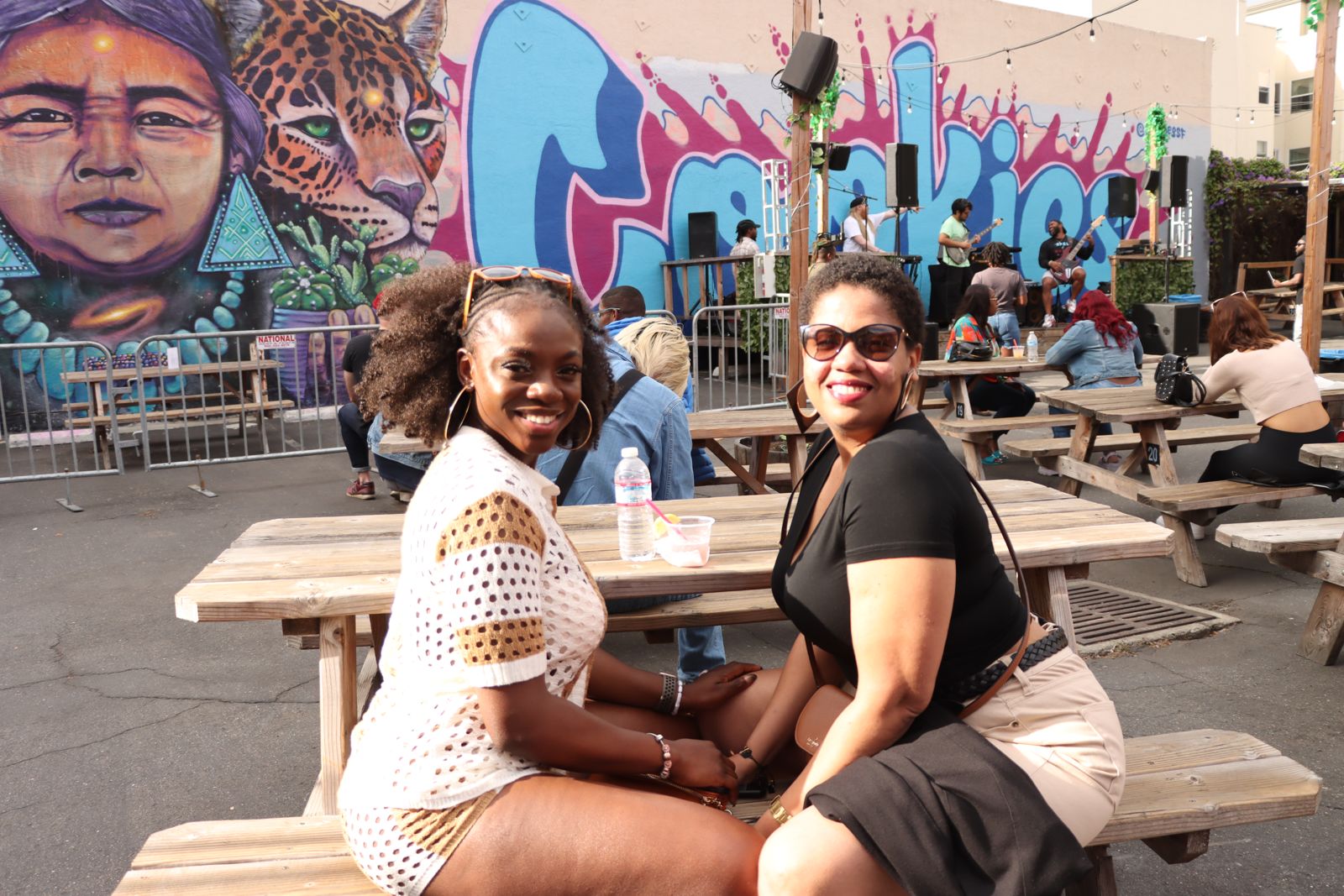 Vibes on Vibes Festival photo 6