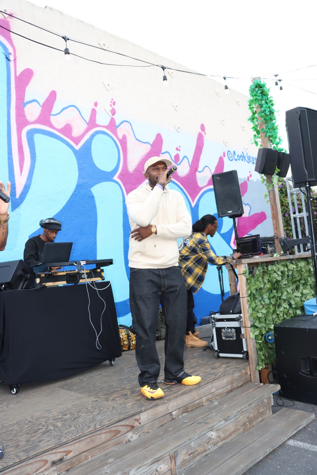Vibes on Vibes Festival photo 16