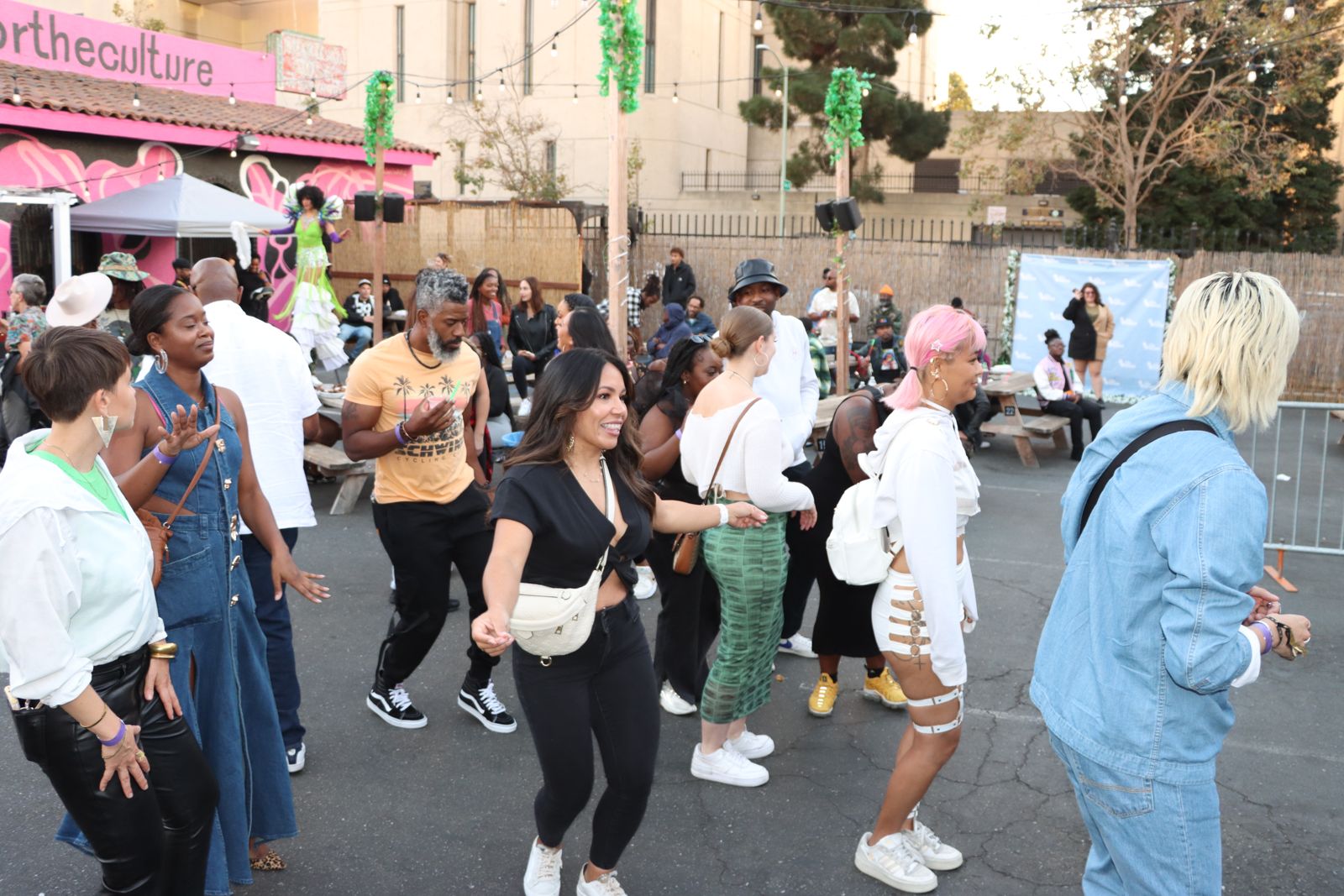 Vibes on Vibes Festival photo 22